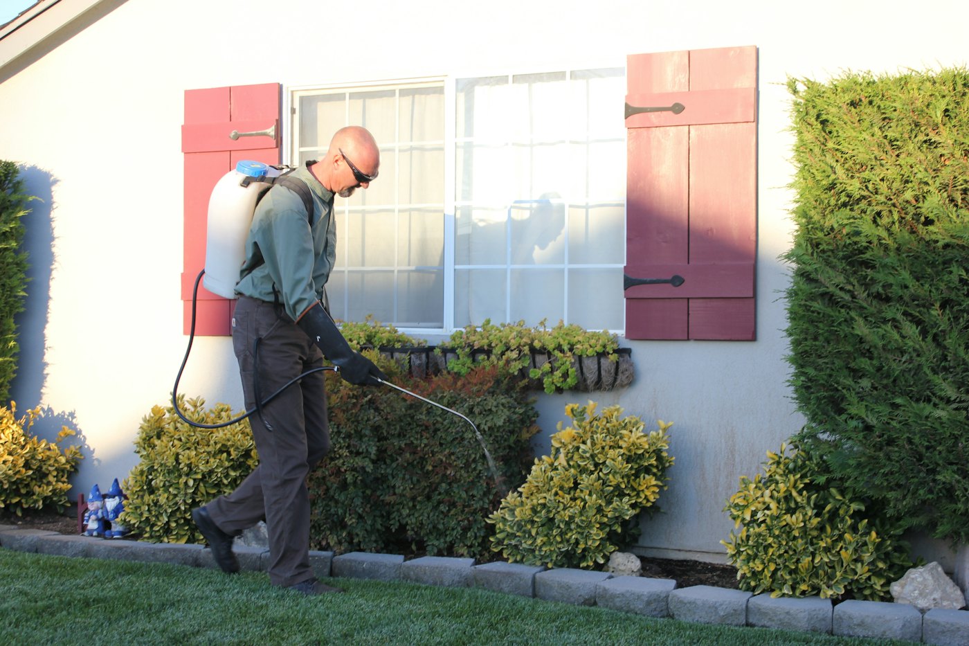 Technicien traitant les abords d'une maison, le long d'une haie